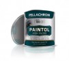 C100_PAINTOL_GLOSS_2020_V02_285x